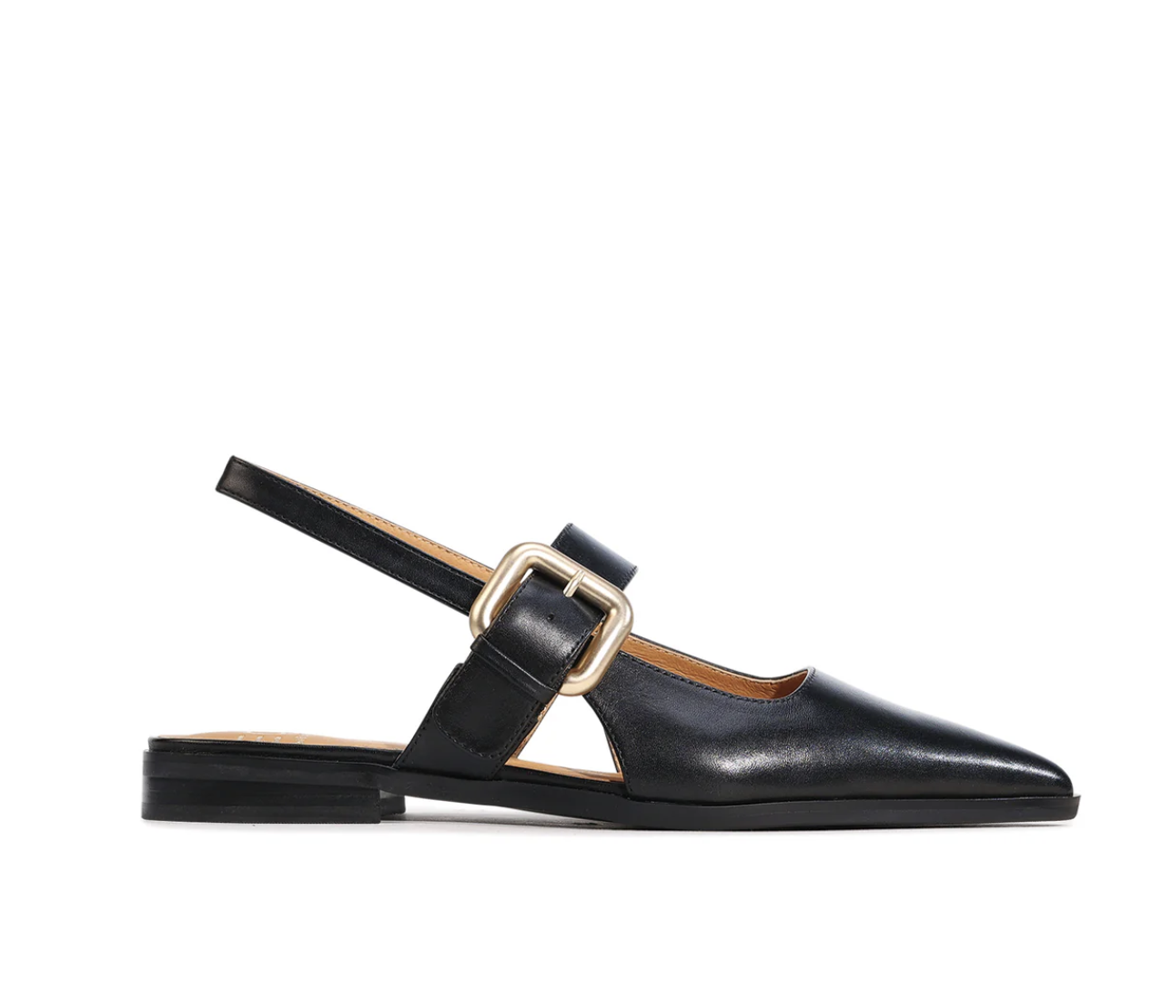 Screenshot 2026-03-19 at 2.29.37 PM.png