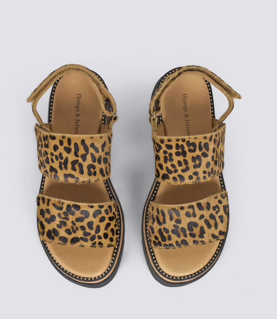 Screenshot 2026-02-08 at 2.41.13 PM.png