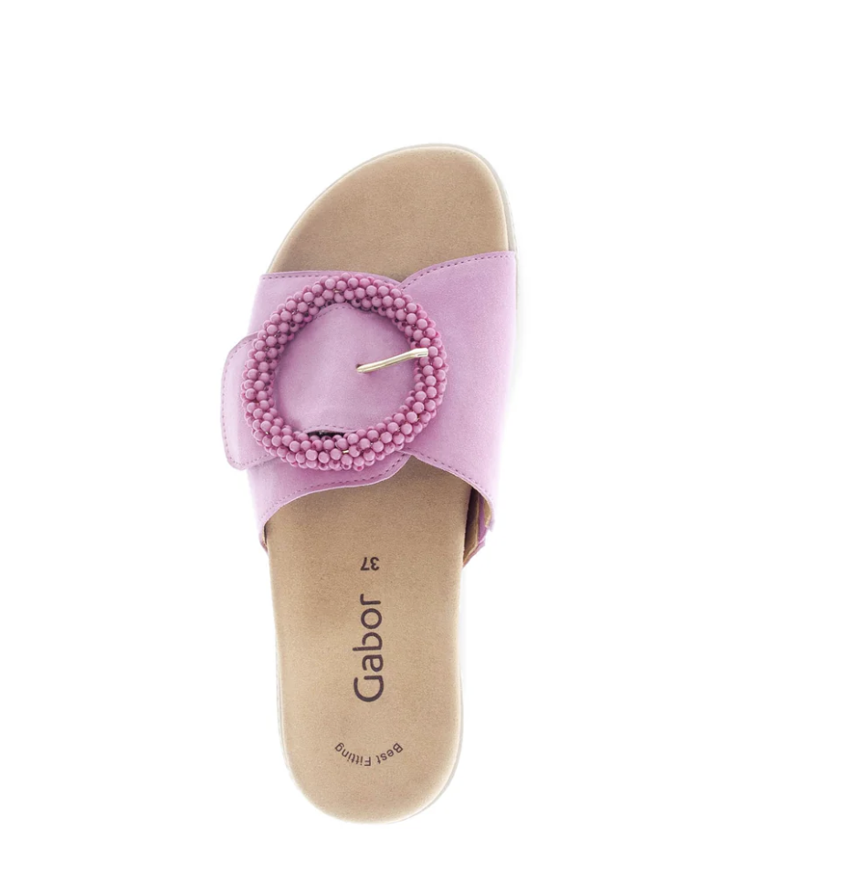 Screenshot 2026-04-25 at 1.33.39 PM.png