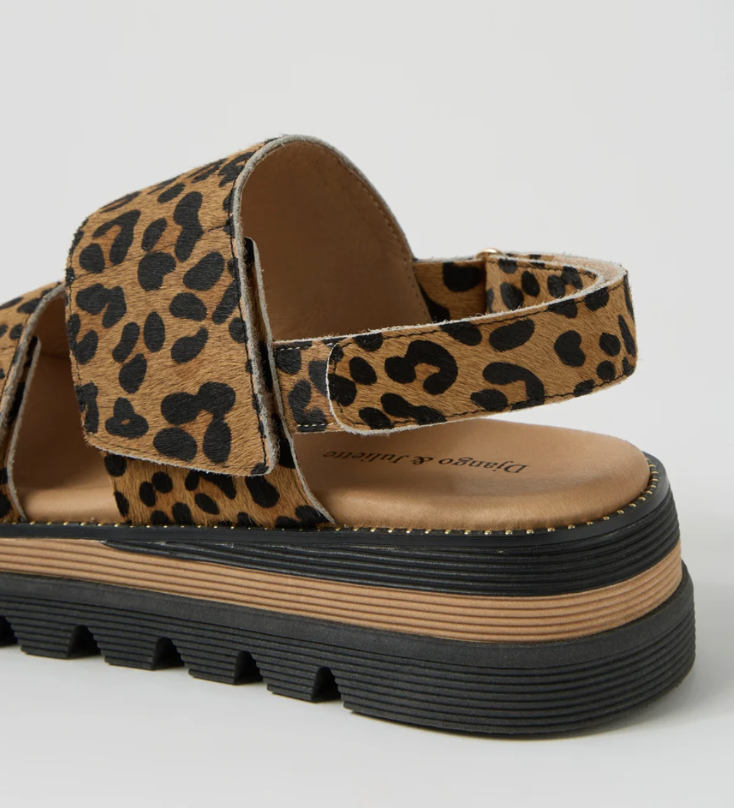 Screenshot 2026-02-08 at 2.41.06 PM.png