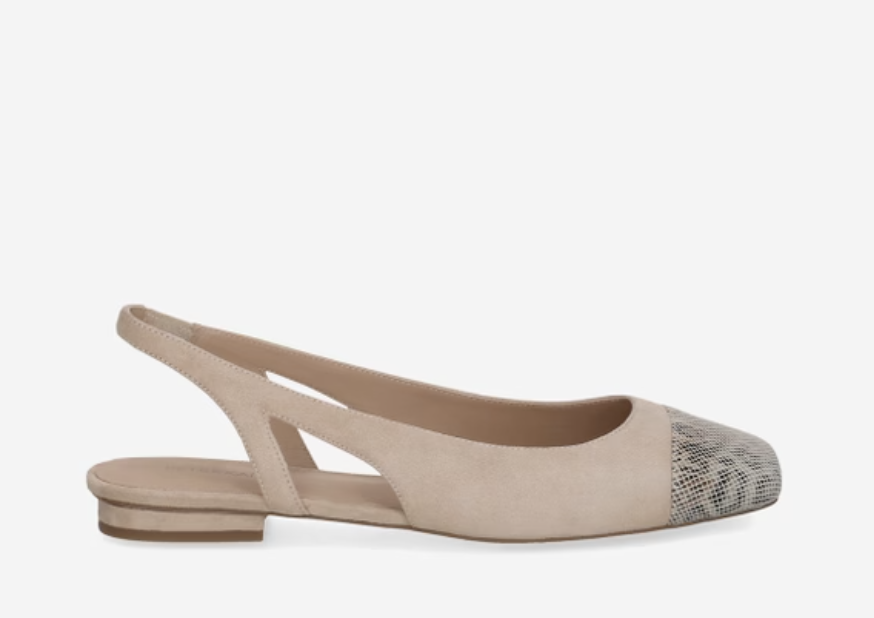 Screenshot 2026-04-25 at 1.22.07 PM.png