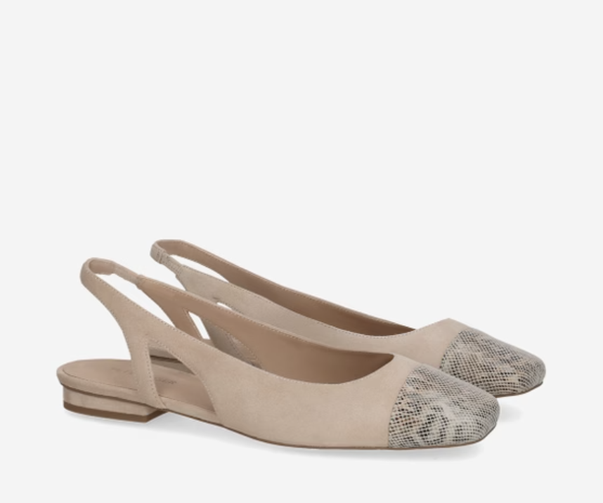 Screenshot 2026-04-25 at 1.22.25 PM.png