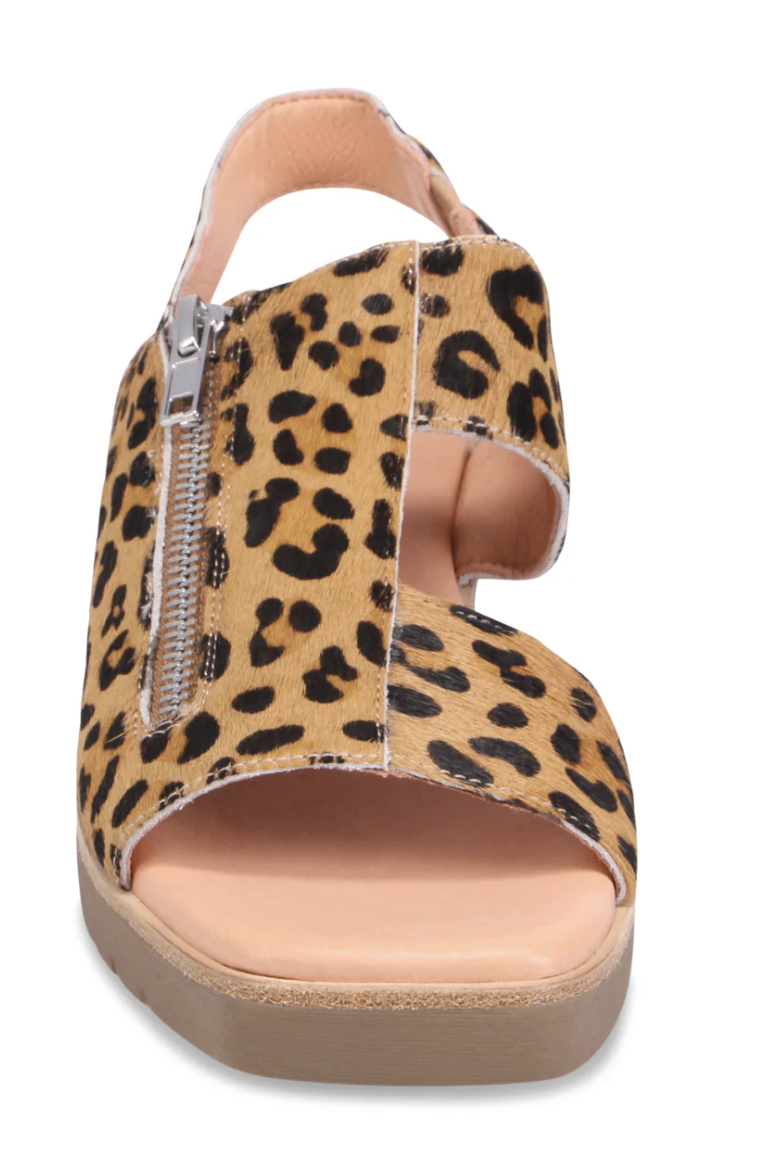 Screenshot 2026-02-08 at 2.23.39 PM.png