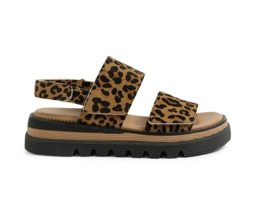 Screenshot 2026-02-08 at 2.40.12 PM.png