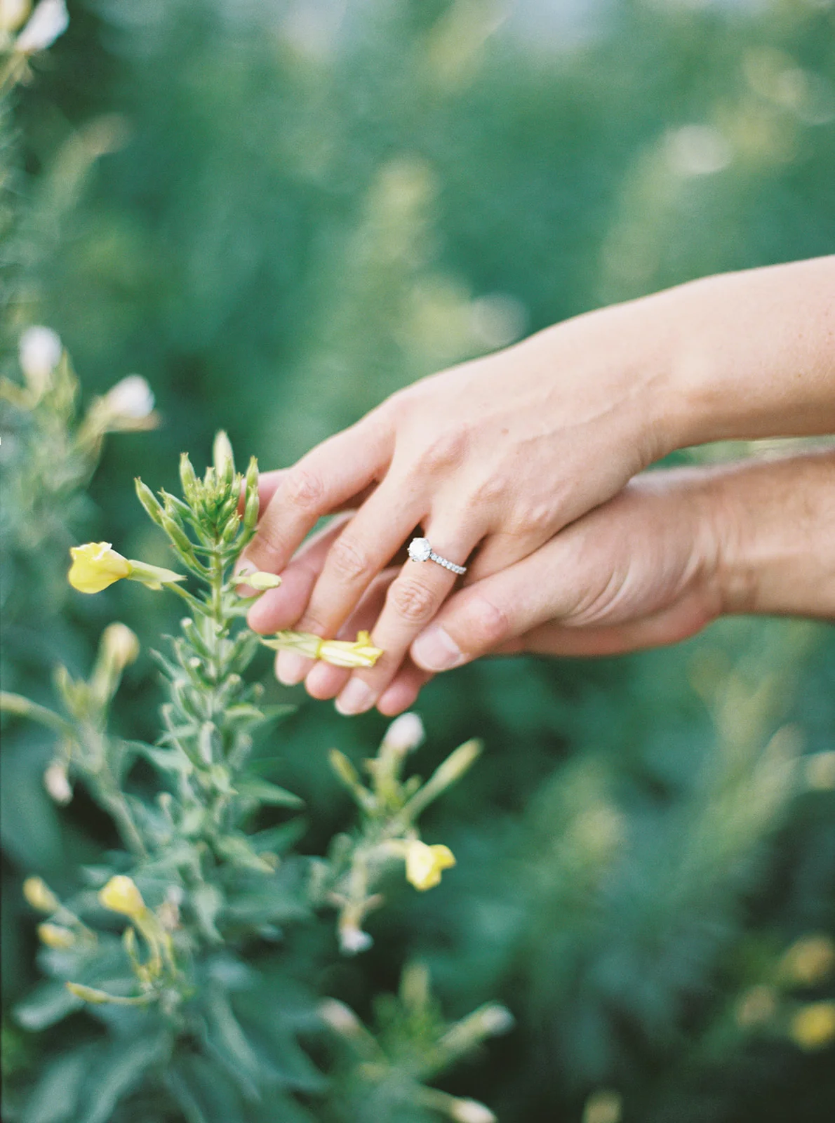Boston Wedding Photographer - Liz &amp; Adam's Engagement Session at The Boston Public Garden in Boston, MA