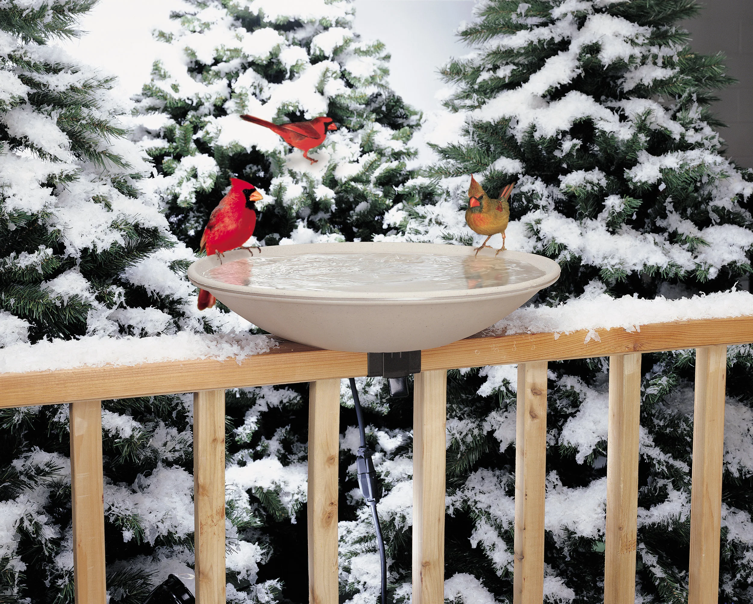 Because Who Doesn't Love a Nice, Warm Bath?