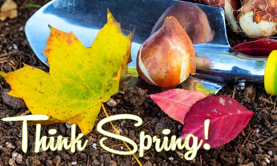 Think Spring - Plant Bulbs in Fall