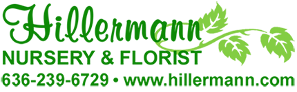 HNF_Logo_Leaves_NoBKG_G2pn_s430.png