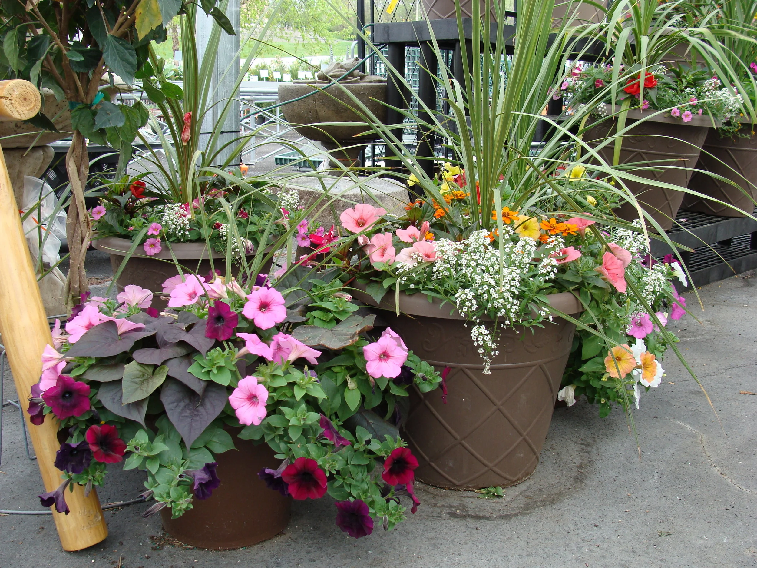 Mother's Day Gift Guide