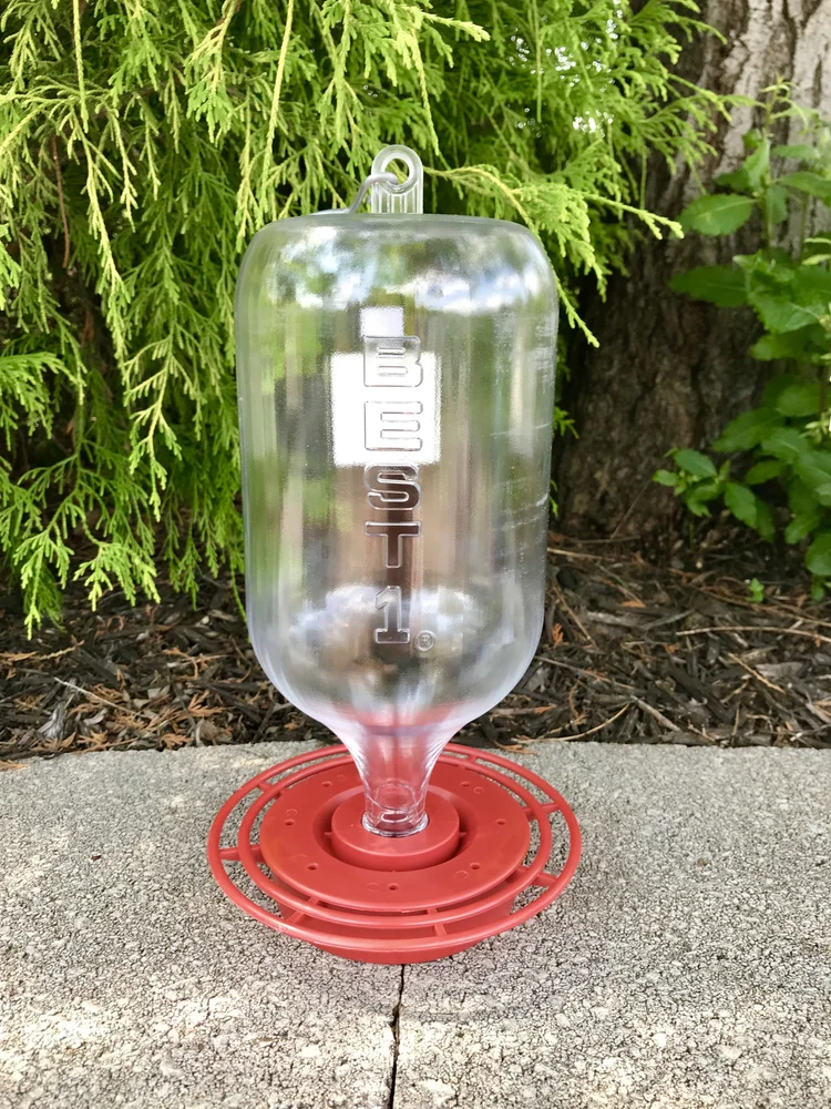 Best 1 Hummingbird Feeder 72oz Hillermann Nursery Florist Inc