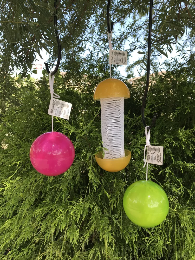Have A Ball Finch Feeder Hillermann Nursery Florist Inc