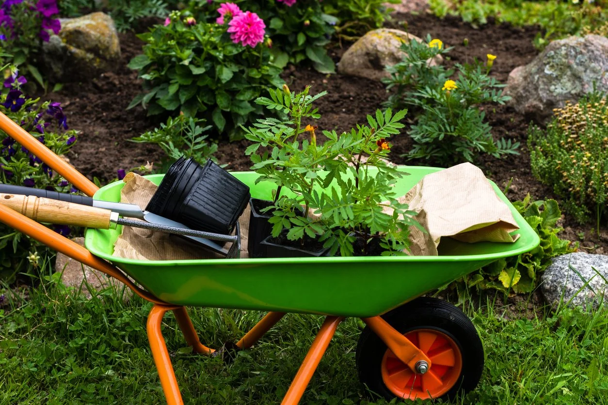 Gardening_Items_Wheelbarrow_w.jpg
