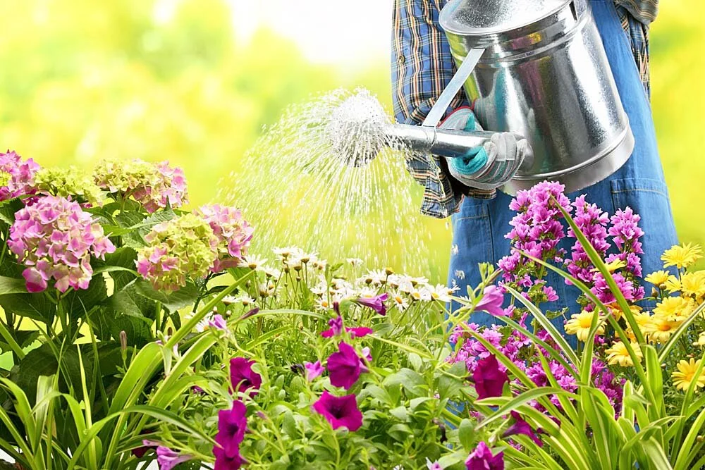 Tips for the Garden - June 2020
