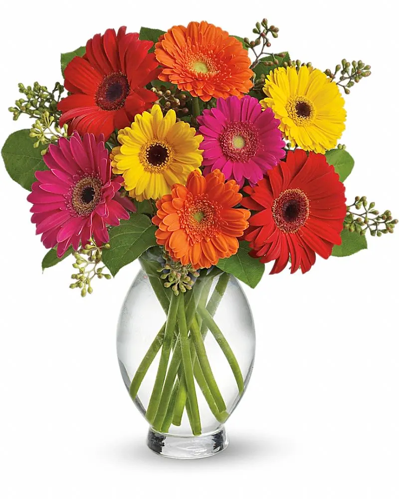 Floral_Arr_Gerbera_Brights_TF.png