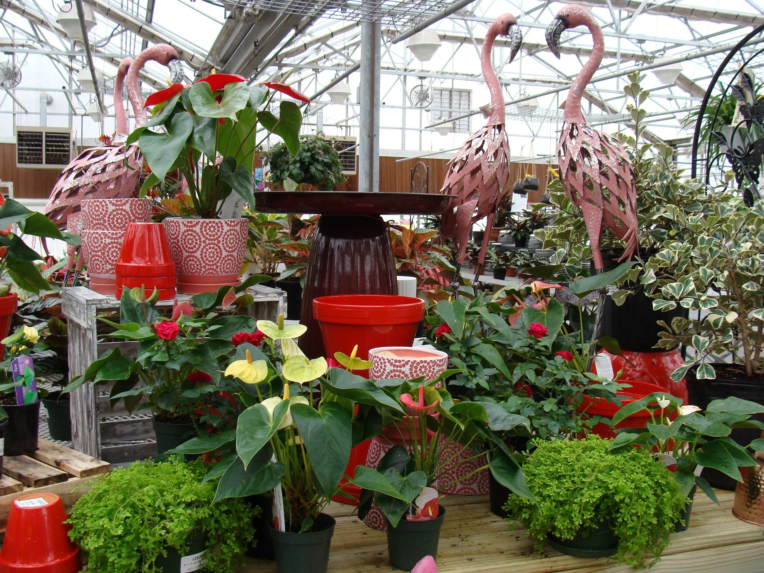 Great Gift Ideas for Valentines Day!