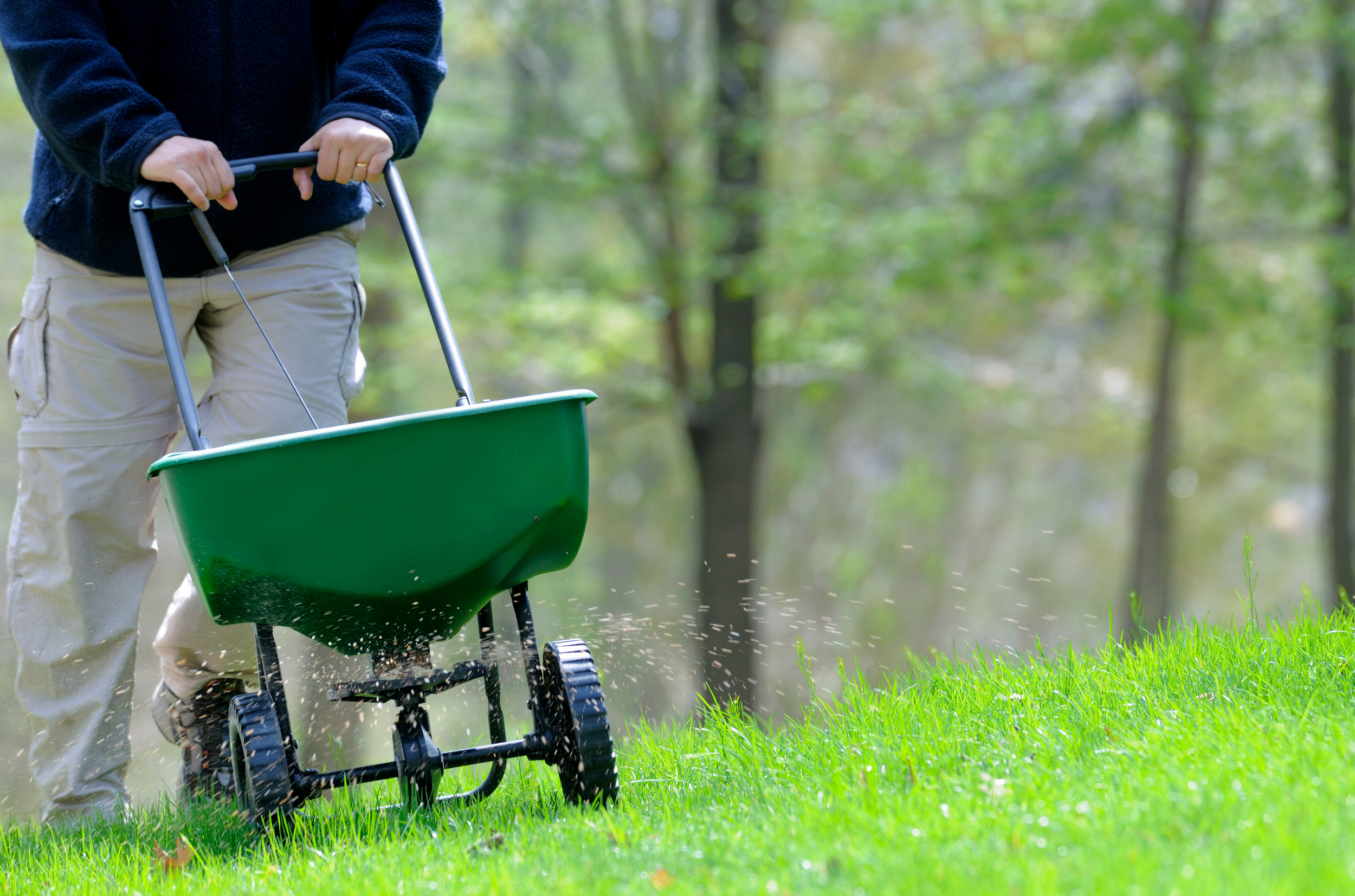 Lawn_Spreader_Fertilizer_Cva.png