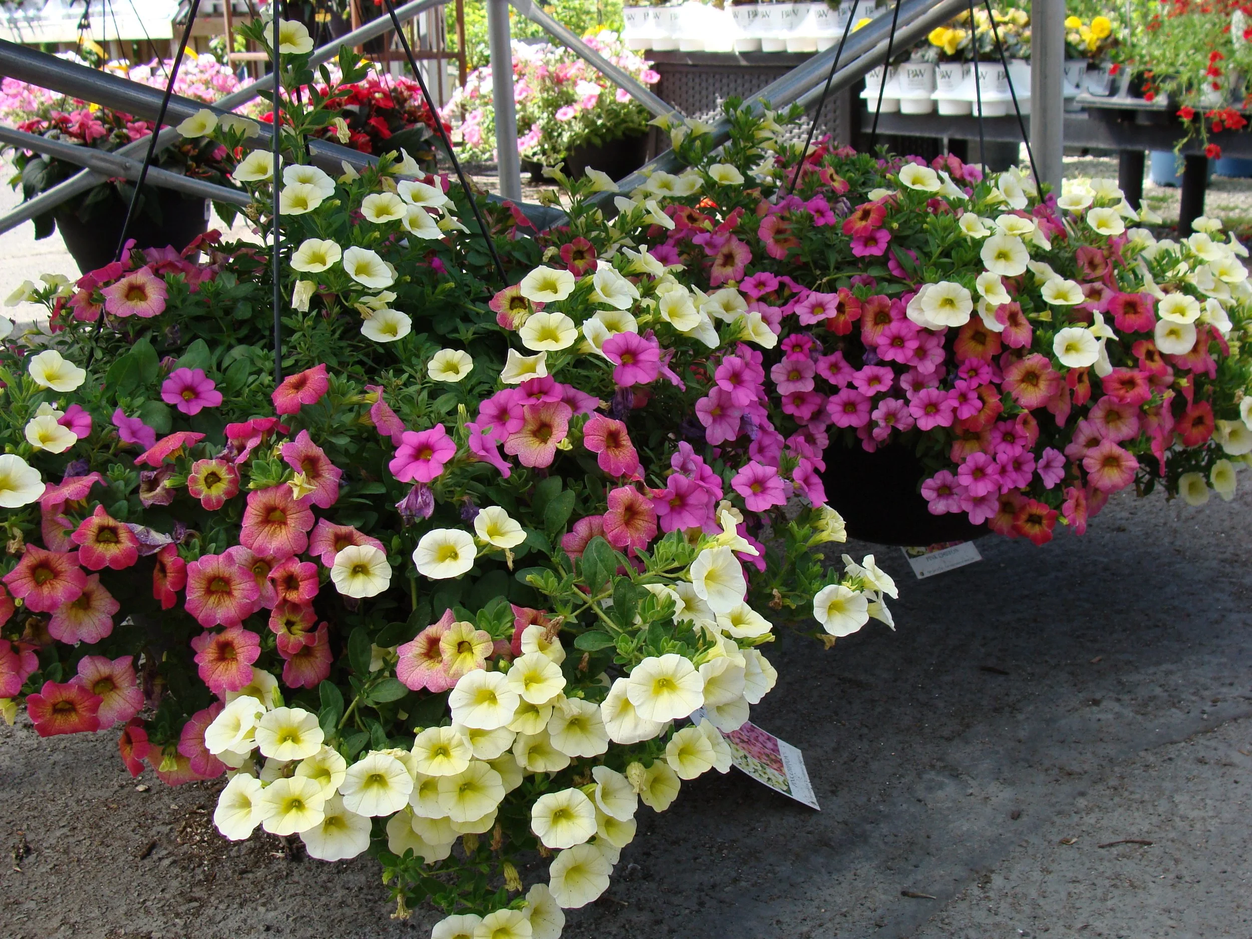 Great Gifts for Mother's Day