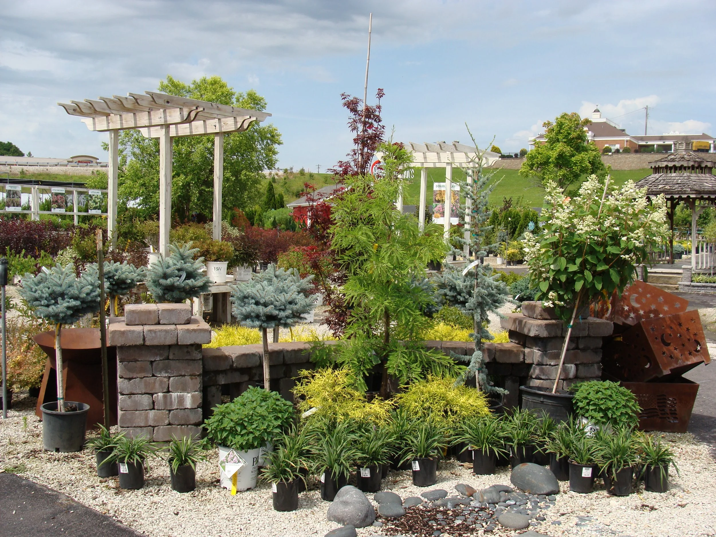 Great Gift Ideas for Father's Day