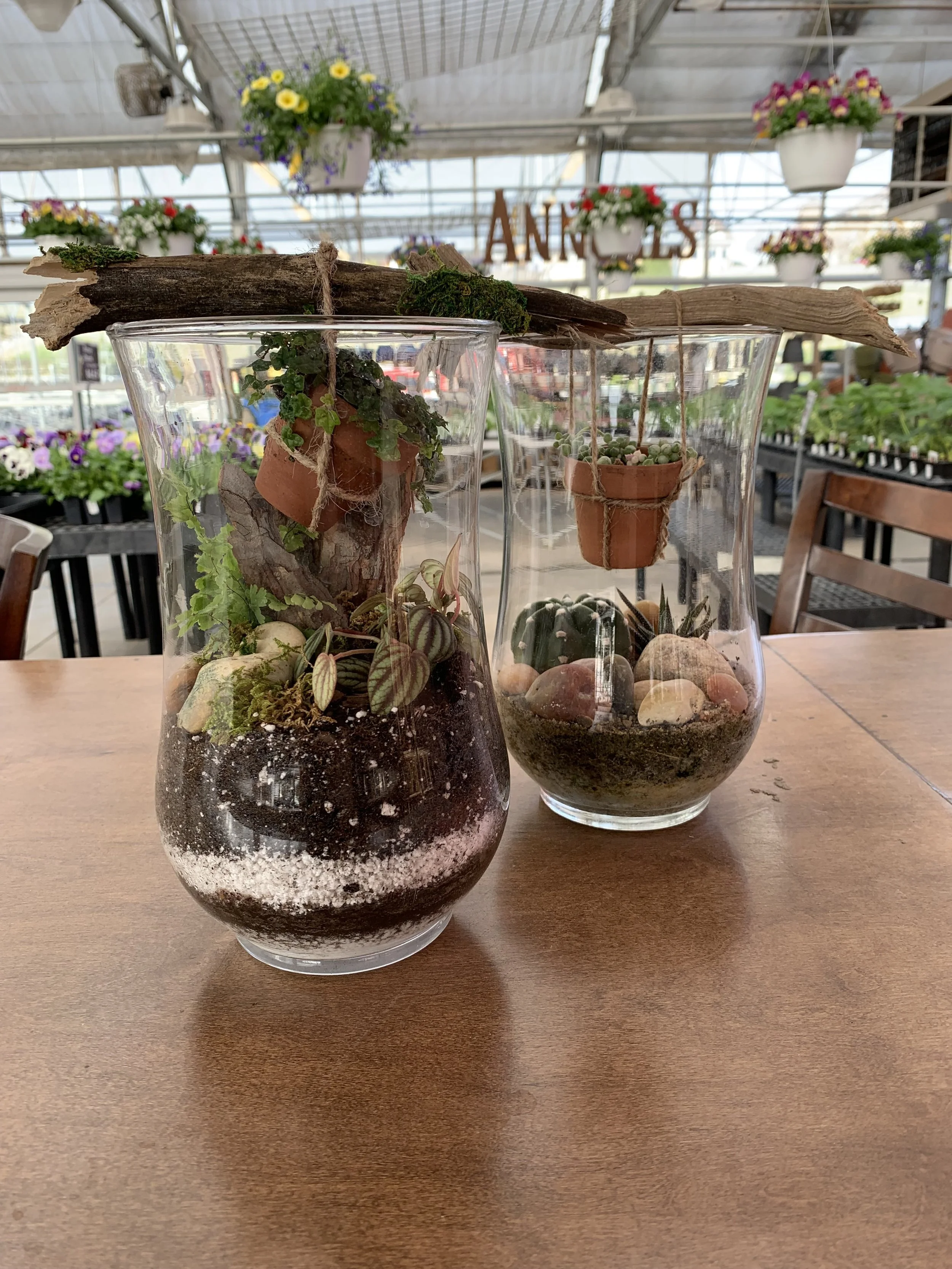 Open Top Terrarium Class - April 12th, 2025