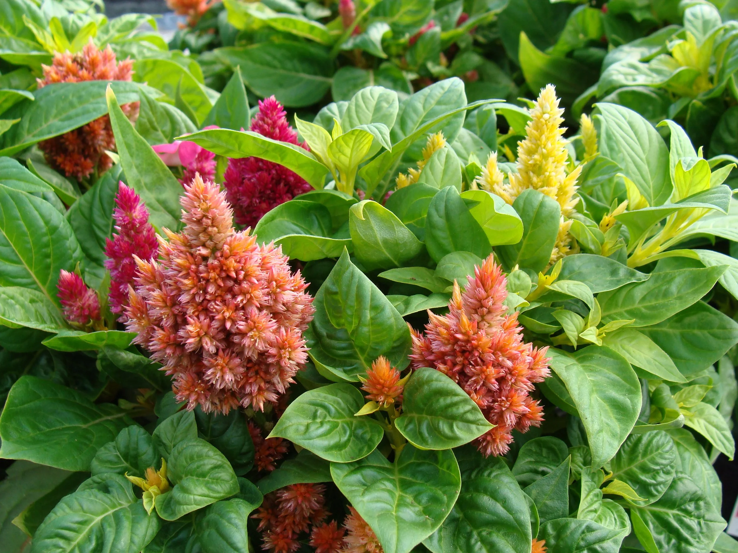 New Arrivals and Displays - Fall 2025