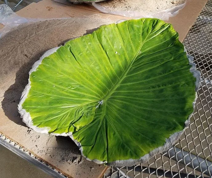 CONCRETE LEAF CLASS - September 27 (Sat.)