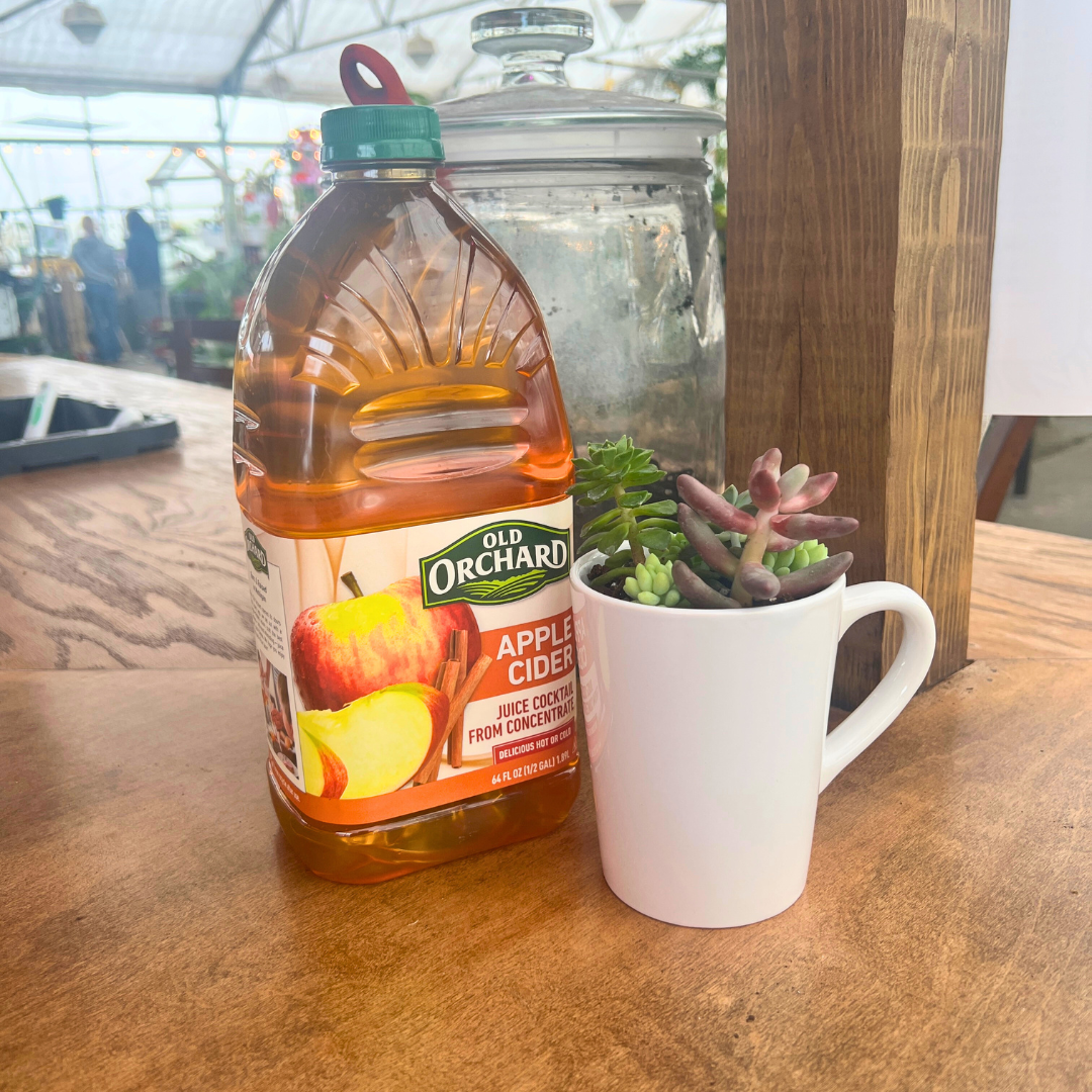 January 24 (Sat): Cider and Succulents - (11:00 am)