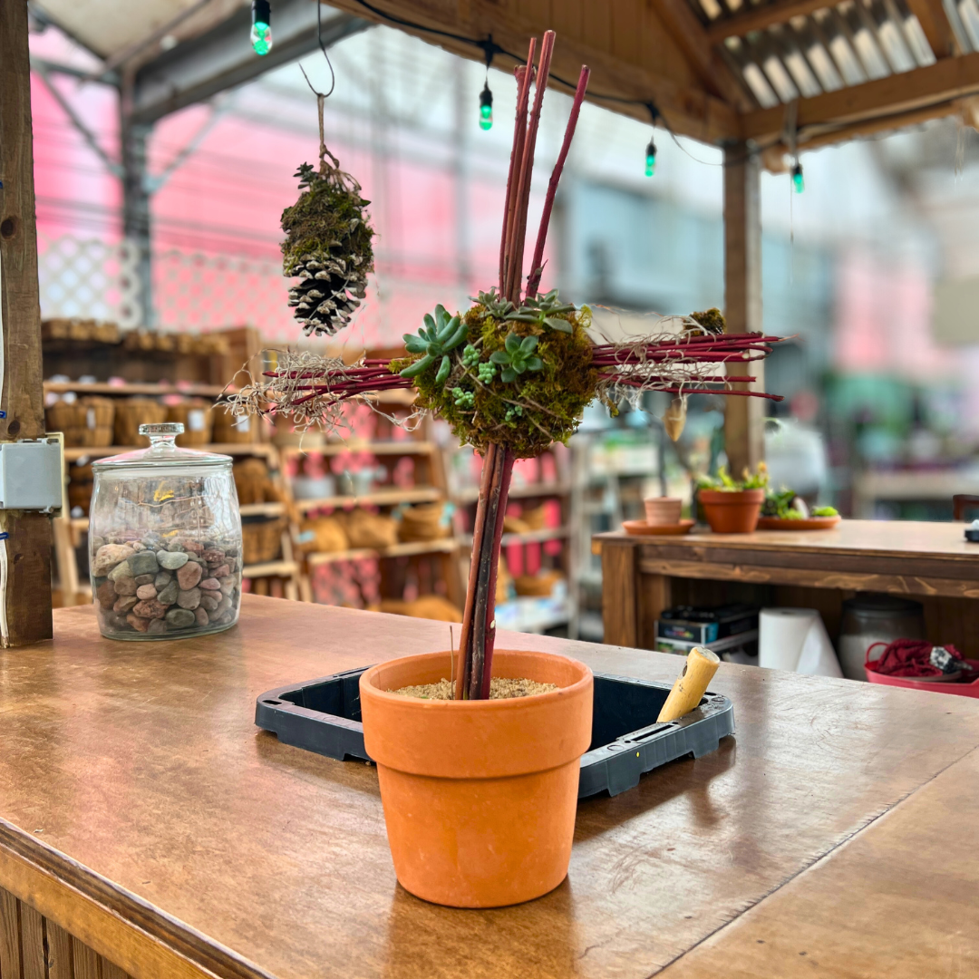 March 28 (Sat): Succulent Twig Cross - (11:00 am)