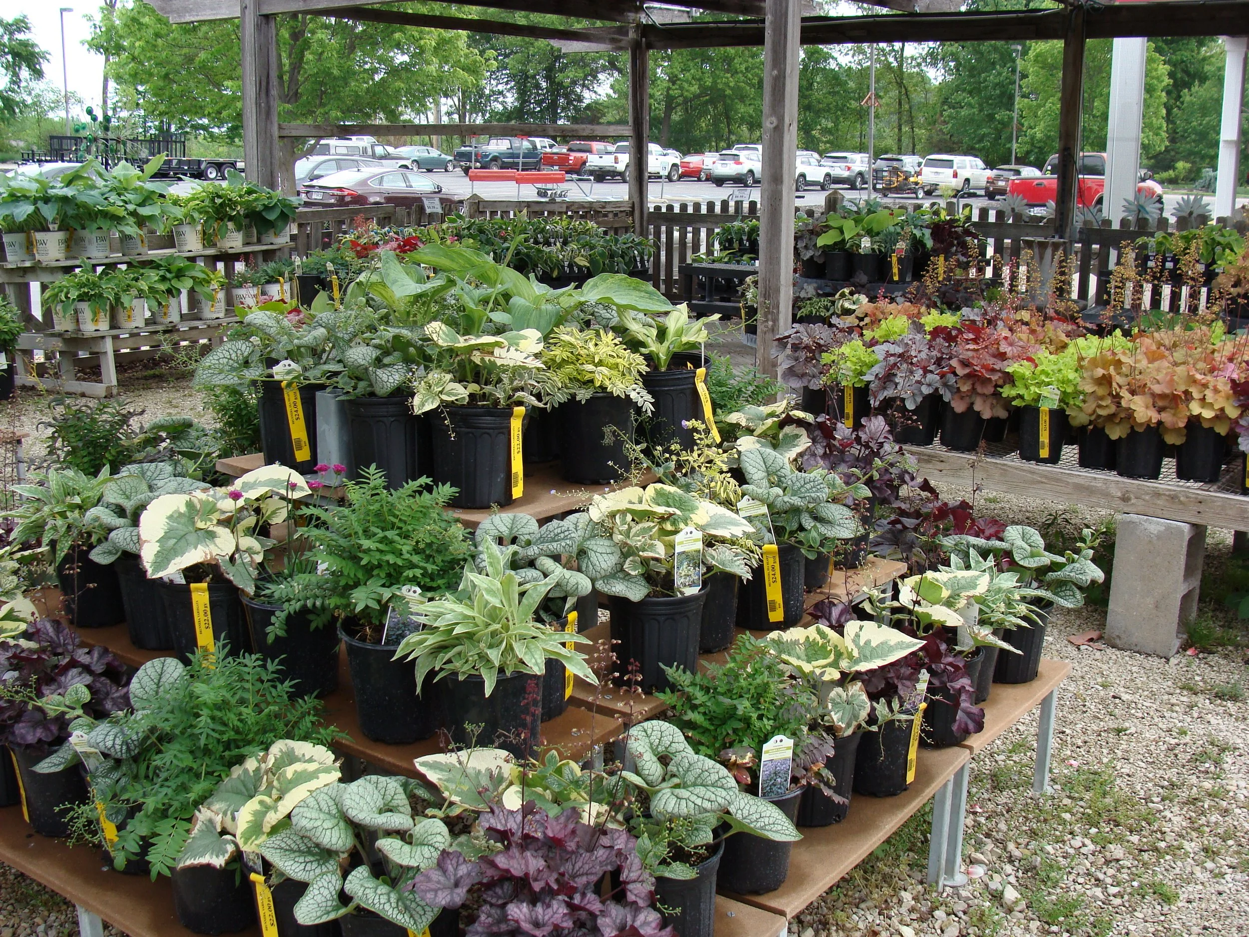 Spring Items &amp; Displays 2026