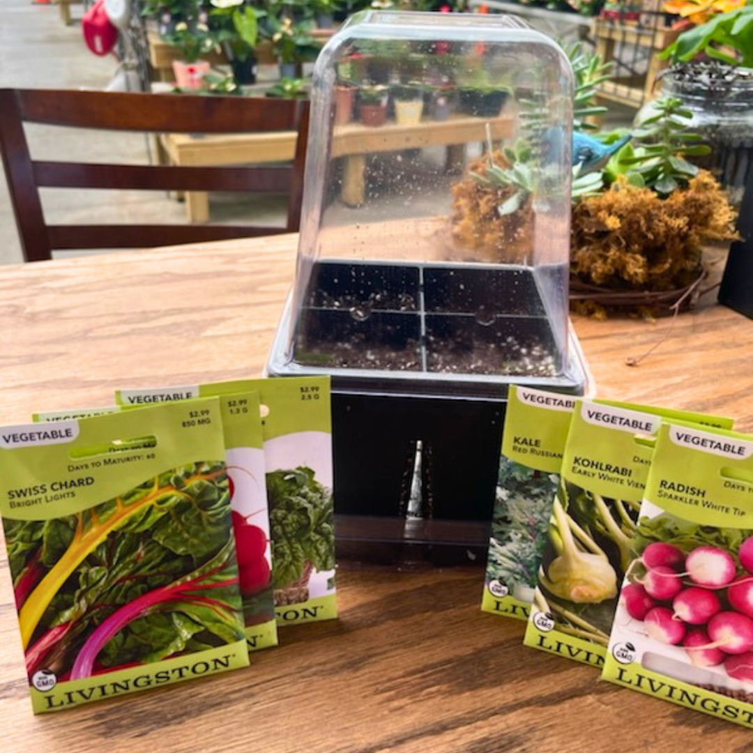 July 18 (Sat): Fall Seed Starting - (11:00 am)