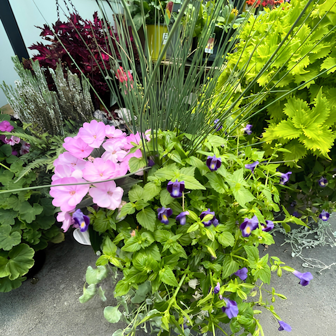 July 25 (Sat): Combo Pot Refresh - (11:00 am)