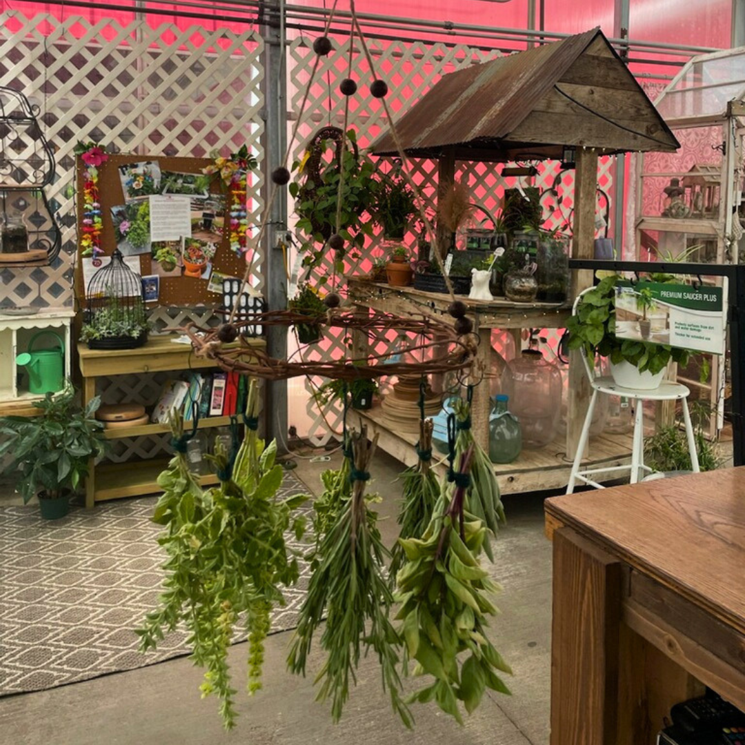 August 15 (Sat): Flower &amp; Herb Drying Rack - (11:00 am)