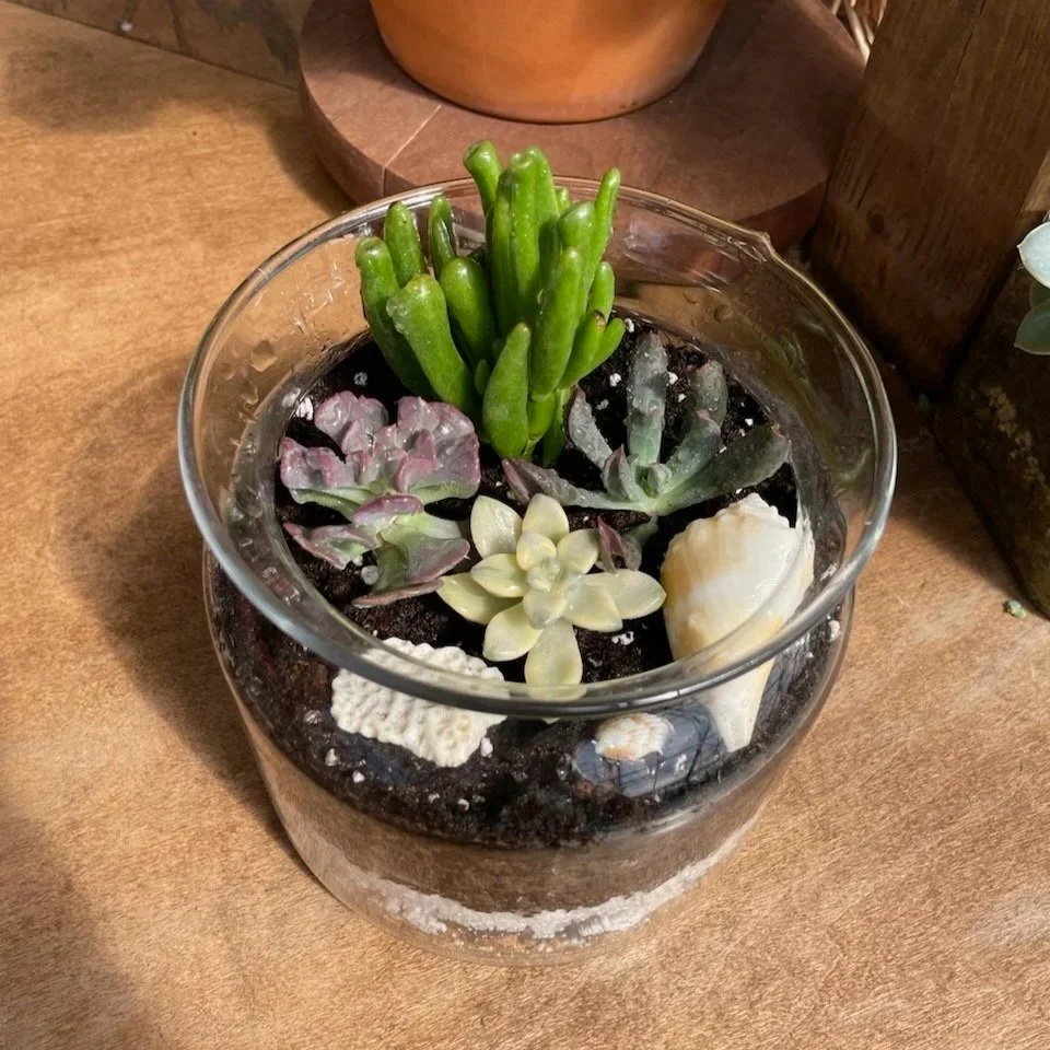 September 12 (Sat): Open Terrarium - (11:00 am)