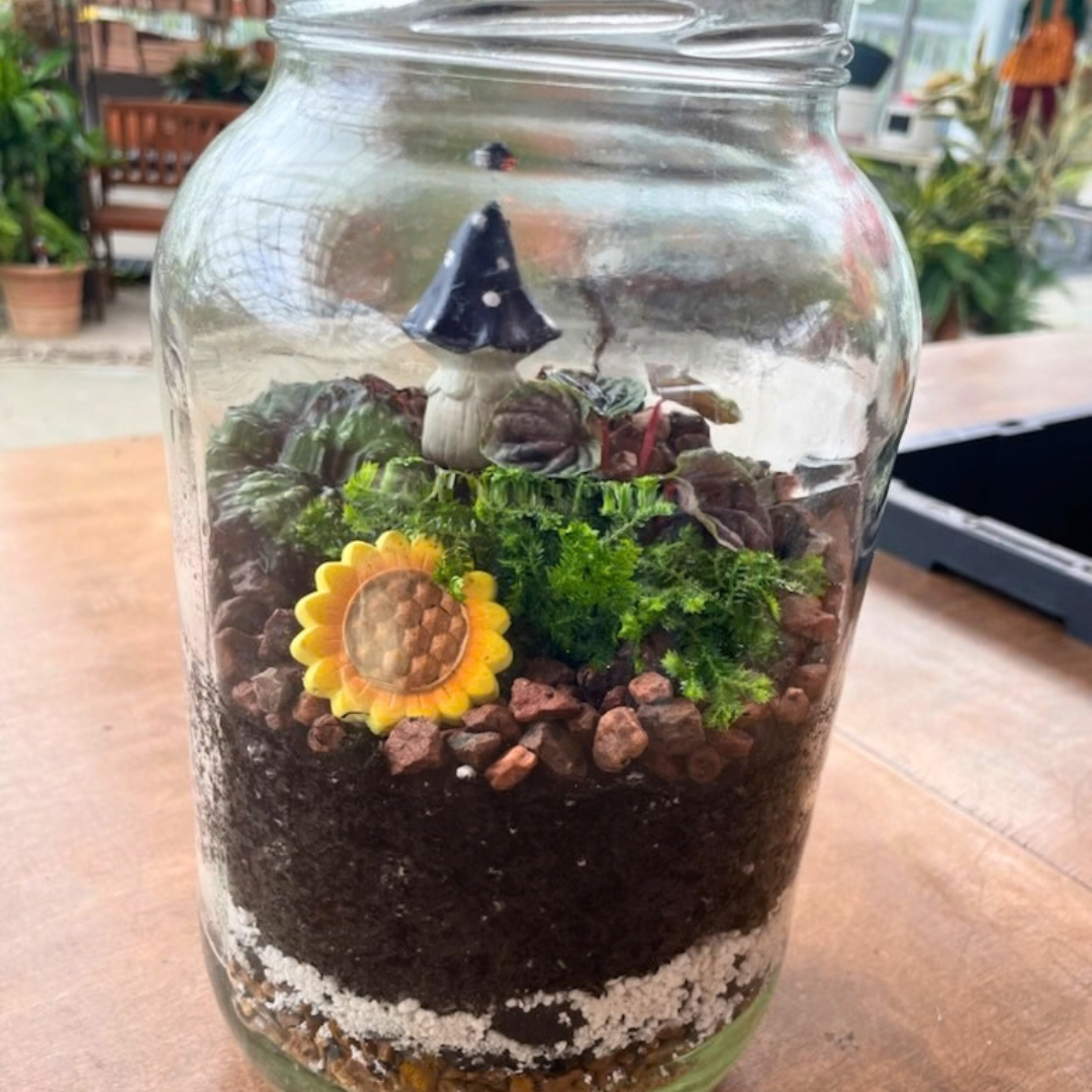 October 3 (Sat): 1 Gallon Terrarium - (11:00 am)