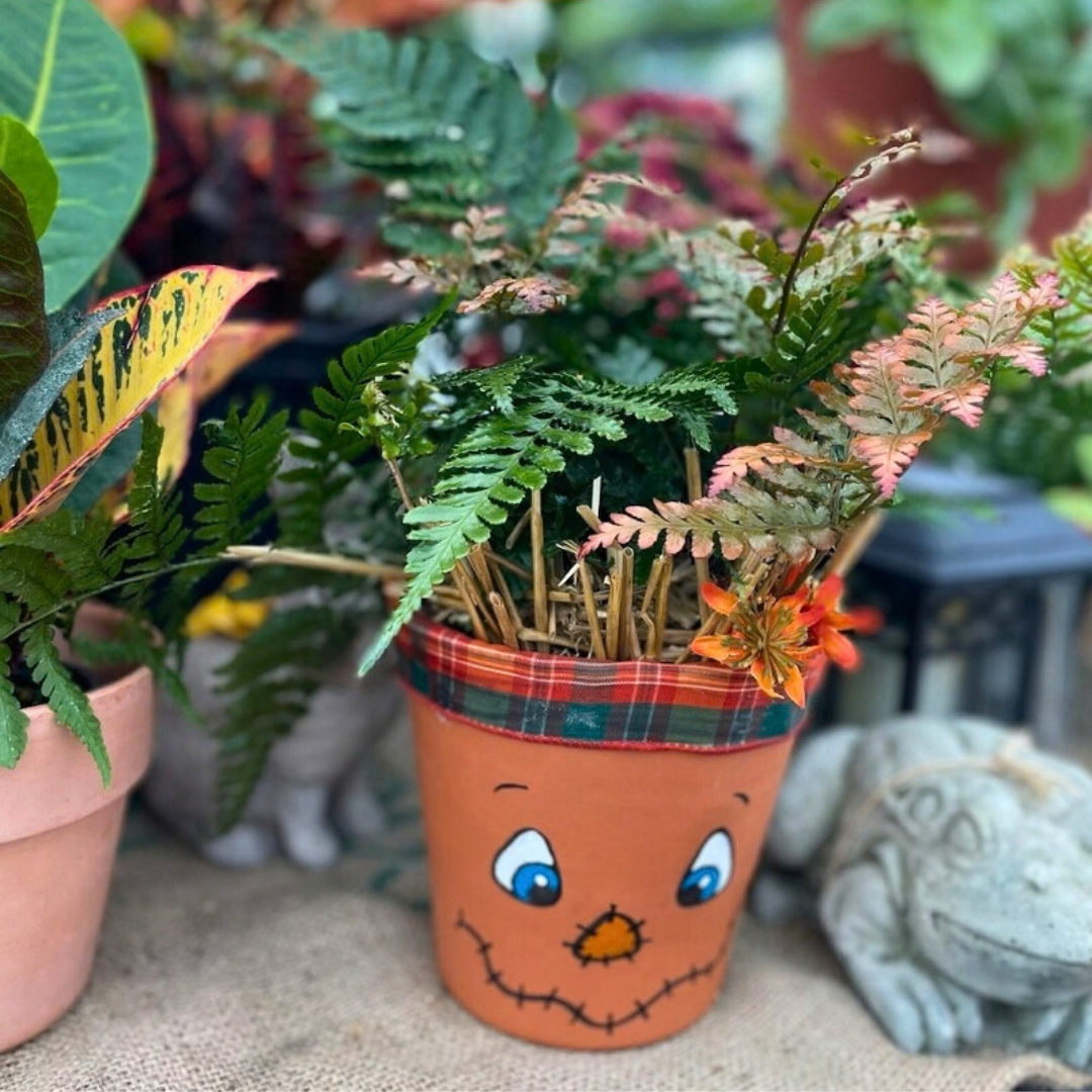 October 10 (Sat): Scarecrow Face Terracotta Pot - (11:00 am)