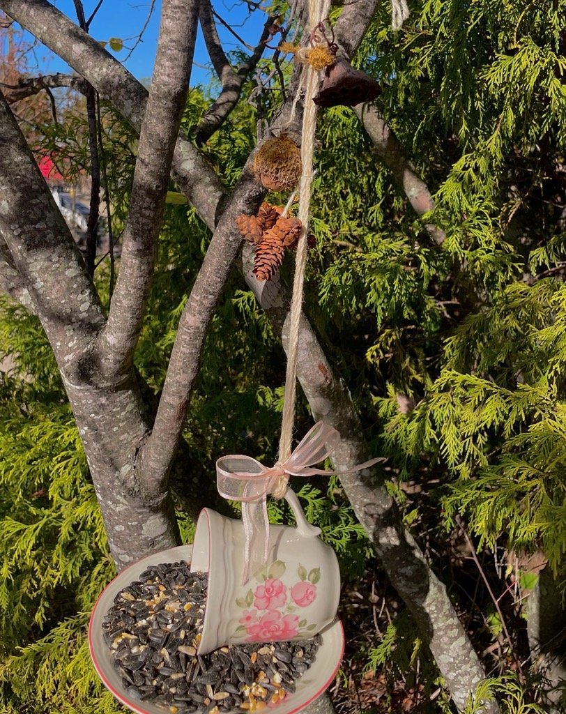 November 7 (Sat): Vintage Tea Cup Bird Feeder - (11:00 am)