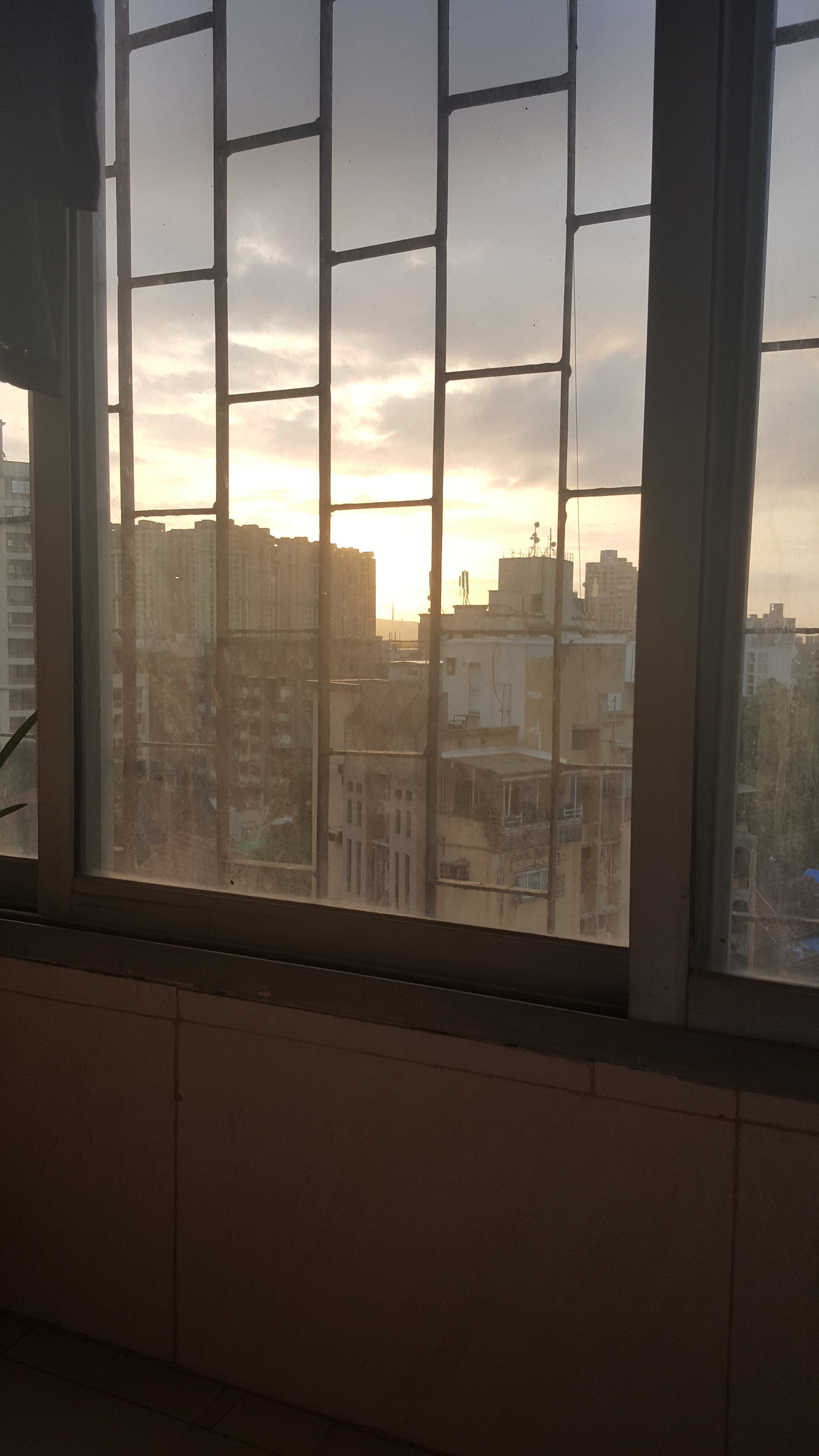 A sunny morning from my room