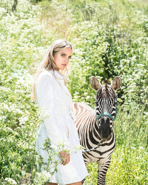 Screen Shot 2017-06-02 at 11.58.38 PM.png