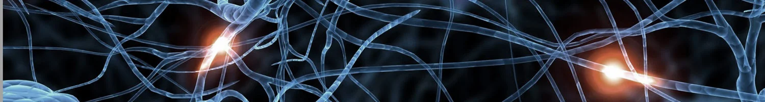 neuronsThin2.jpg