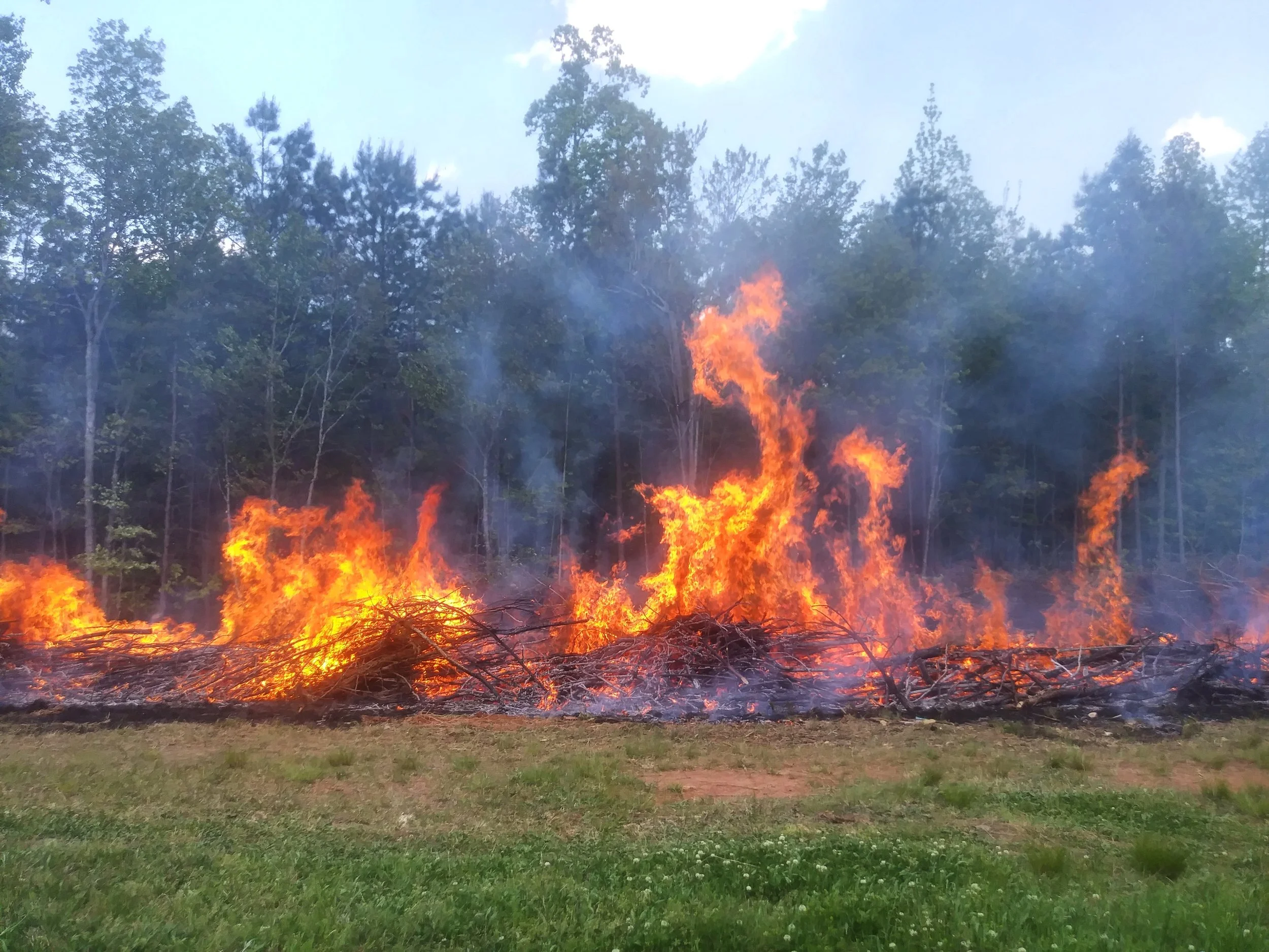 Brush fire.jpg