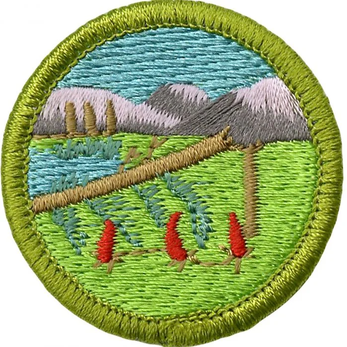 10606.jpg