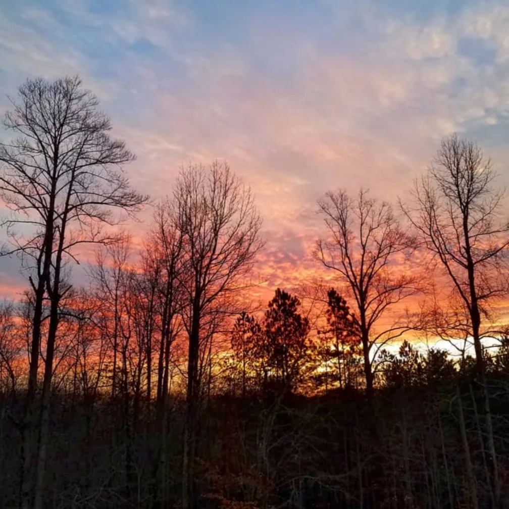 sunset_over_forest.jpg