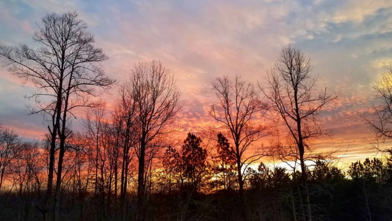 sunset_over_forest.jpg