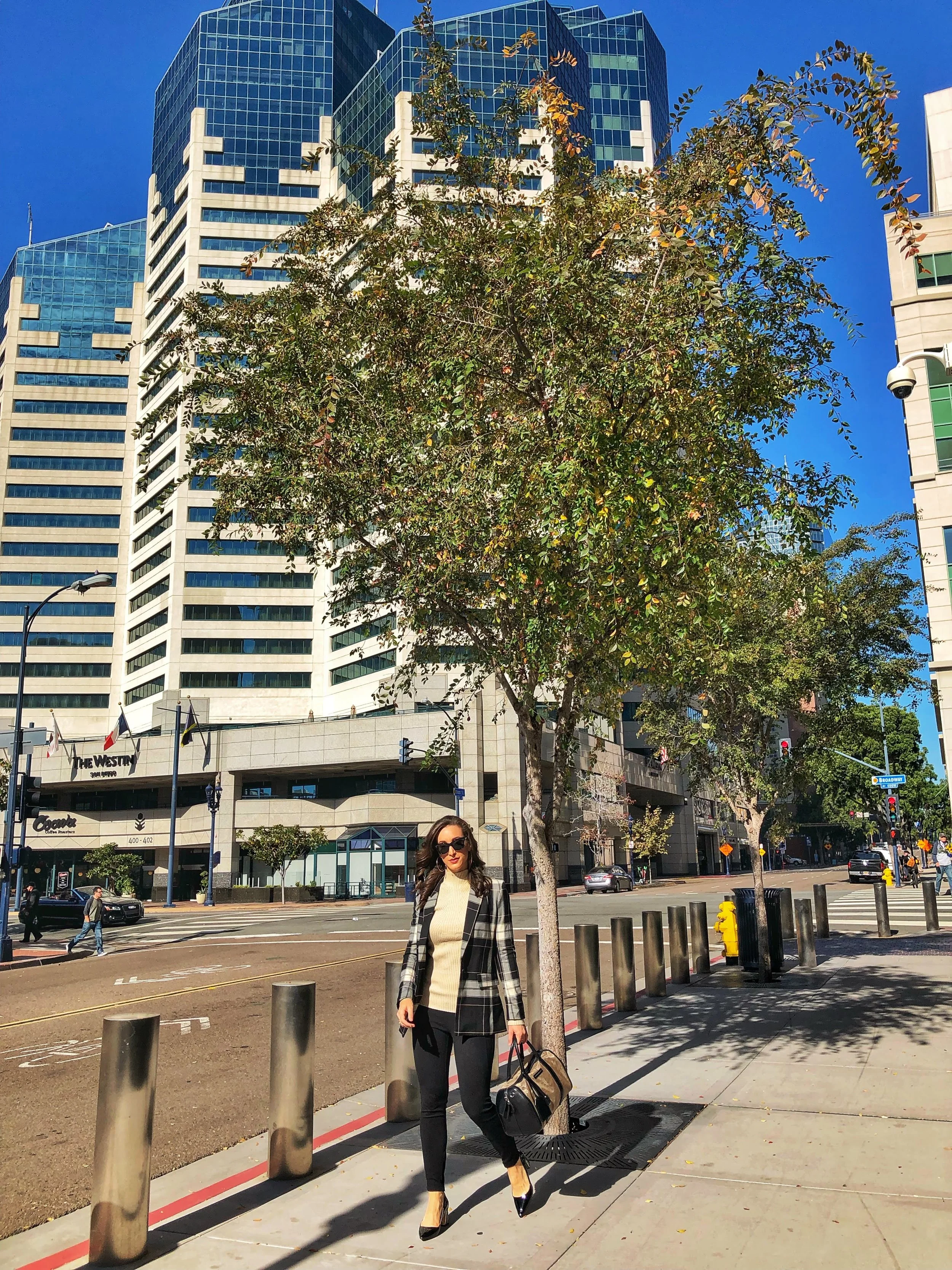 Commuting to work, office style Downtown San Diego, Emerald Plaza Westin Hotel