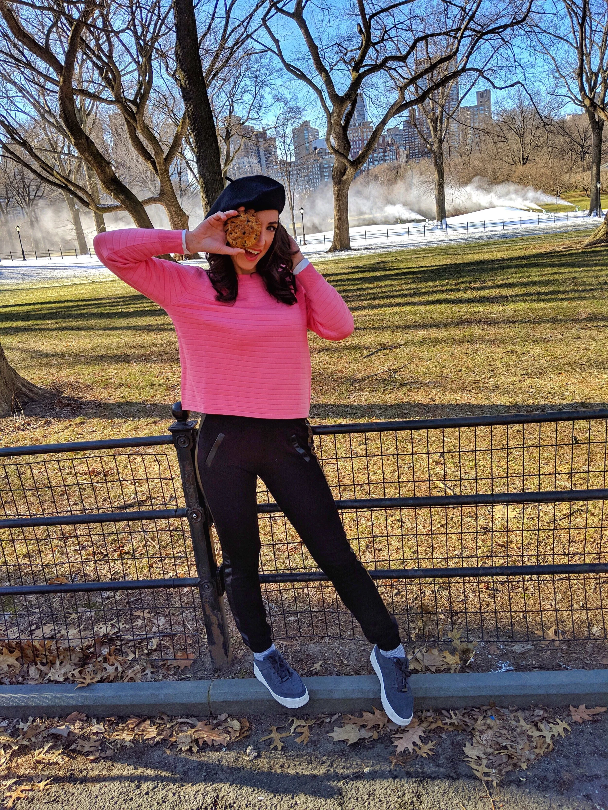 The Best Cookies in NYC