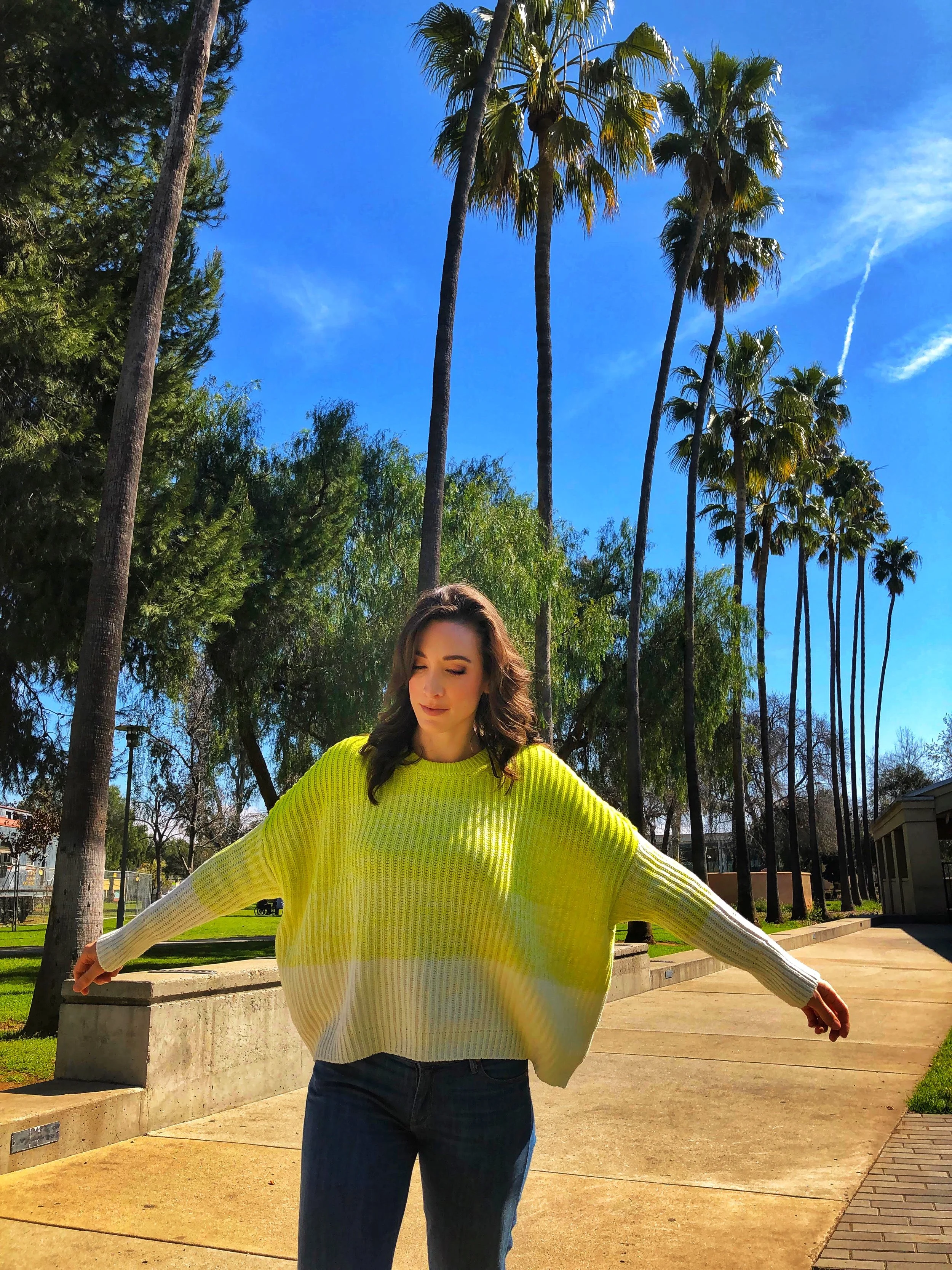 Express boxy ombré pullover sweater. Express pullover sweater. San Diego palm trees.