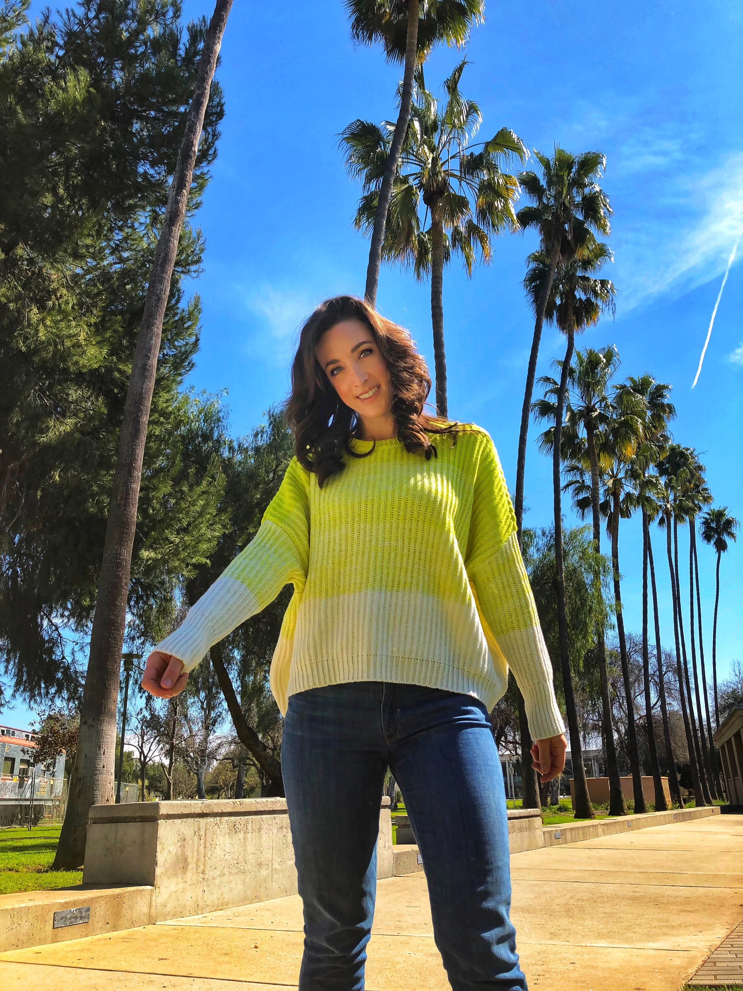 Express boxy ombré pullover sweater. Express pullover sweater. San Diego palm trees.