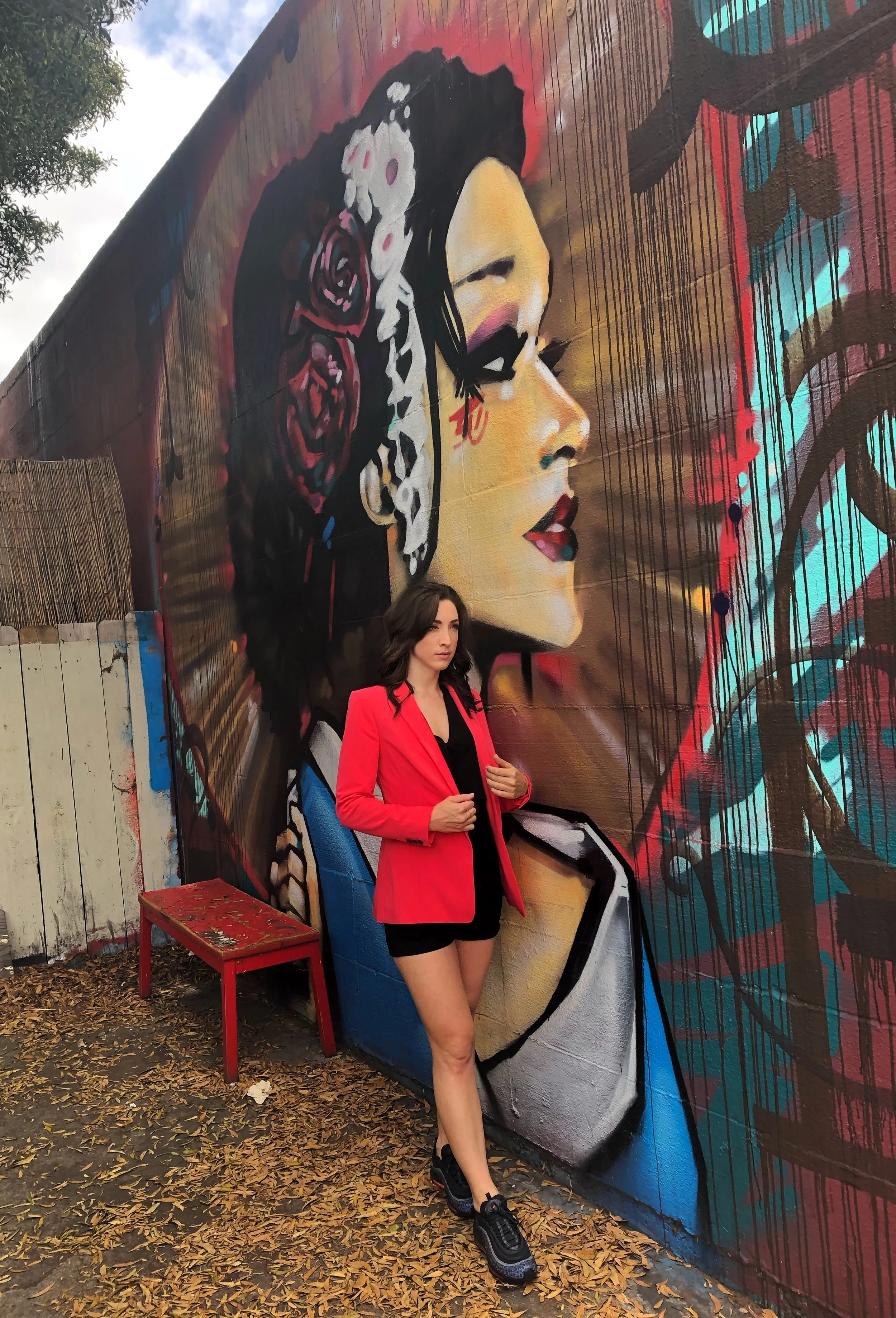 Worthington Coral Blazer from JCPenney. Air Max 97’s in San Diego. Art Mural in Normal Heights, San Diego, California.