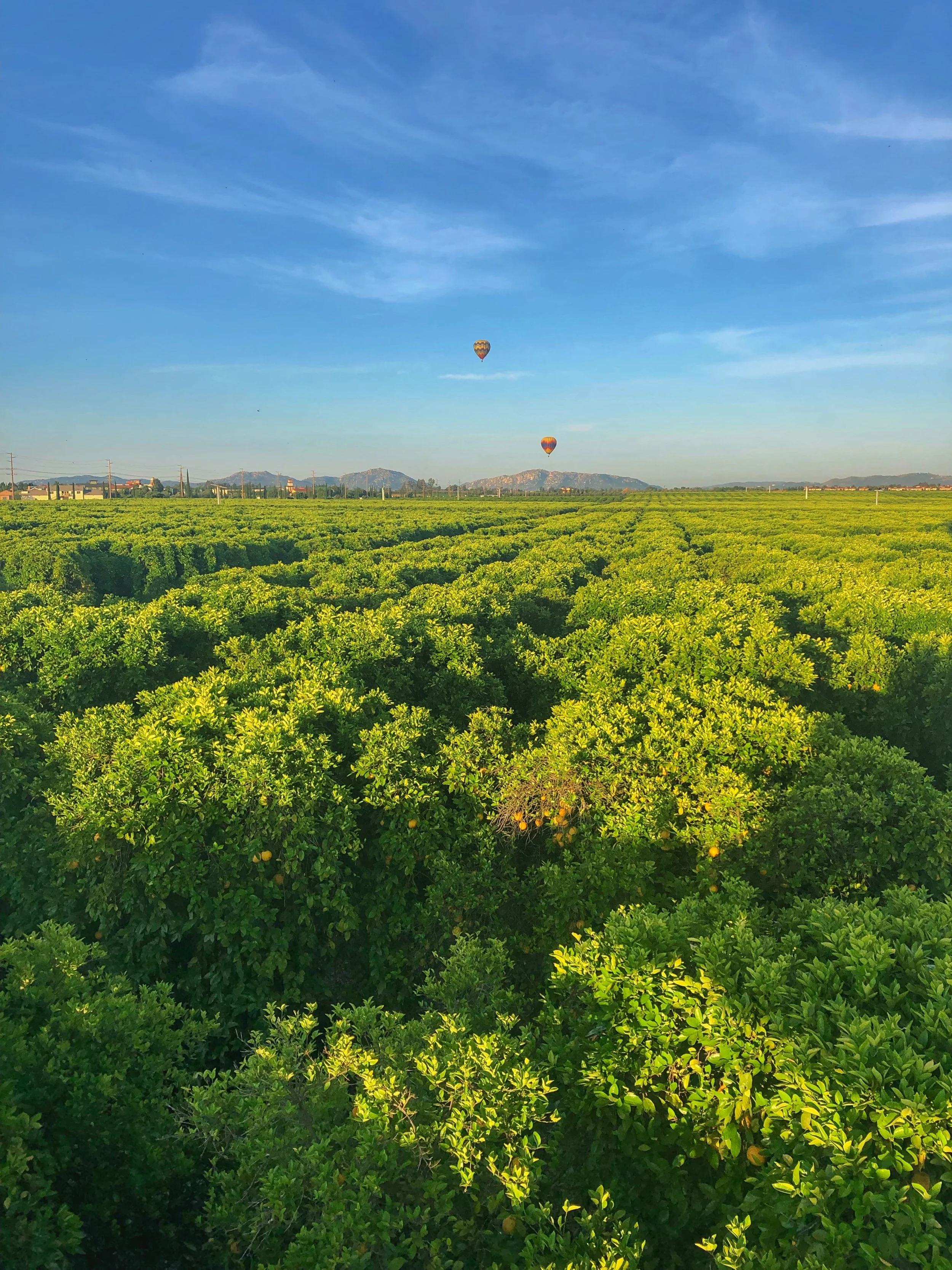 Hot Air Balloon Ride. Monte De Oro Winery, Temecula, California.