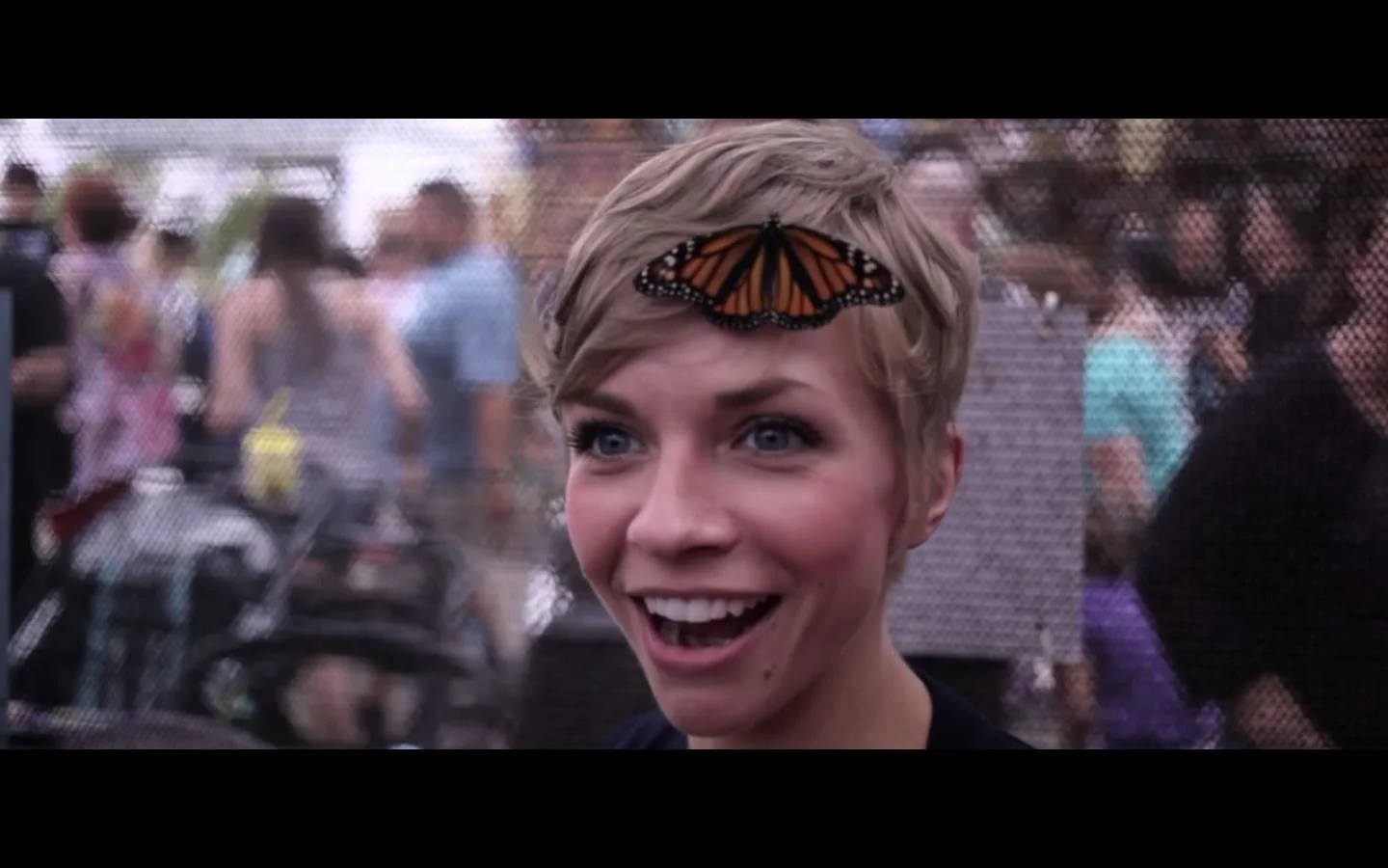 Songs- An Experience