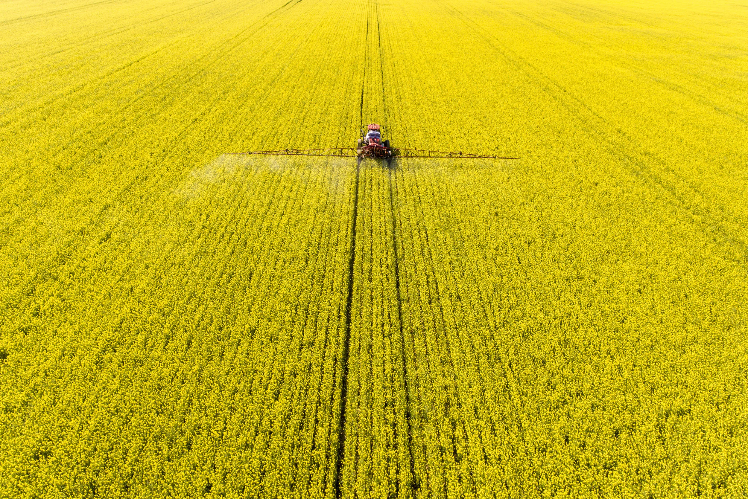 DJI_0149_2.jpg